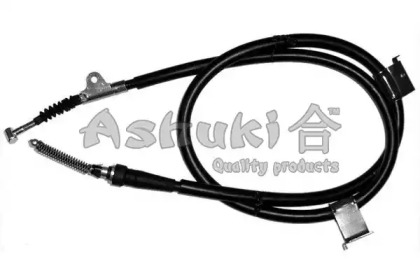 ASHUKI 1179-1501