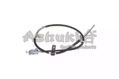 ashuki 11795030