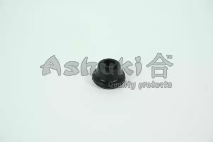 ashuki 12693108