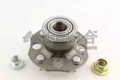 ashuki 14136304