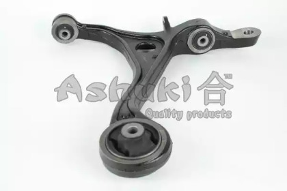 ashuki 14704204