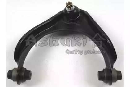ASHUKI 1479-3104