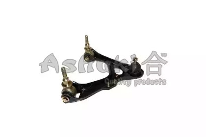 ASHUKI 1479-7004