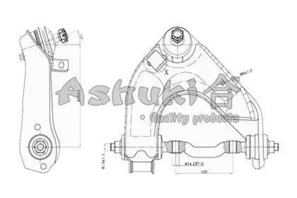 ASHUKI 1479-7005