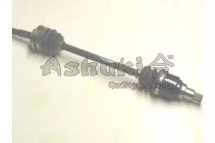 ASHUKI D116-56