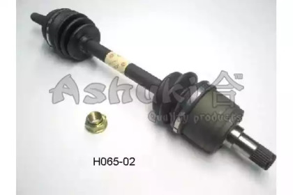 ASHUKI H065-02
