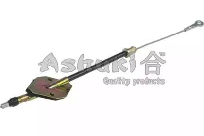 ASHUKI HRK12358