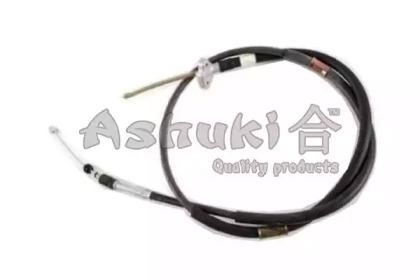 ASHUKI HRK12445