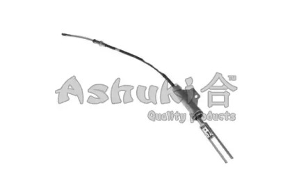 ASHUKI HRK12546