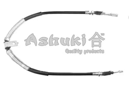 ASHUKI HRK12595