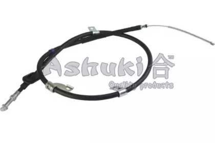 ASHUKI HRK12596