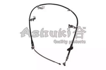 ASHUKI HRK12642