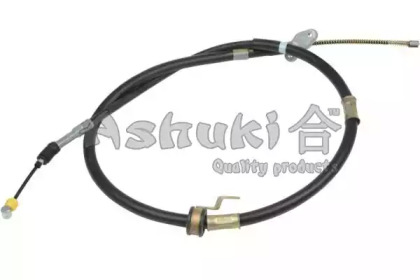 ASHUKI HRK12661