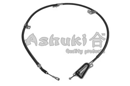 ASHUKI HRK12767