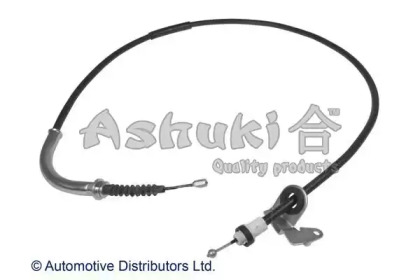 ASHUKI HRK12773