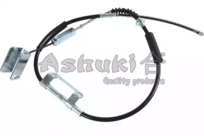 ASHUKI HRK12779