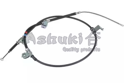 ASHUKI HRK12789