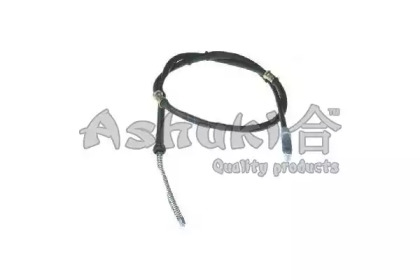 ASHUKI HRK12847