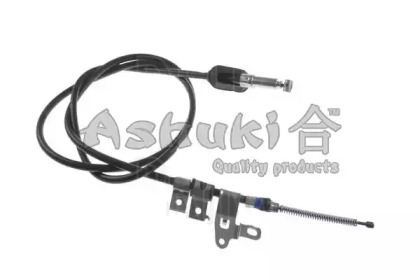 ASHUKI HRK12895