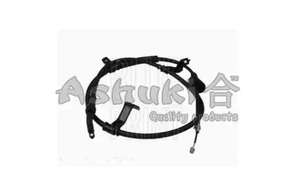 ASHUKI HRK12934