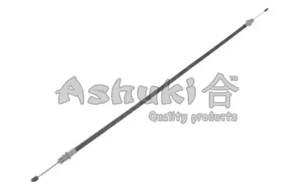 ASHUKI HRK13066