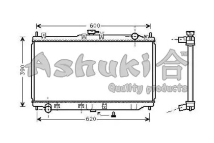 ASHUKI M559-19