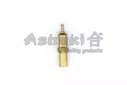 ASHUKI N021-01