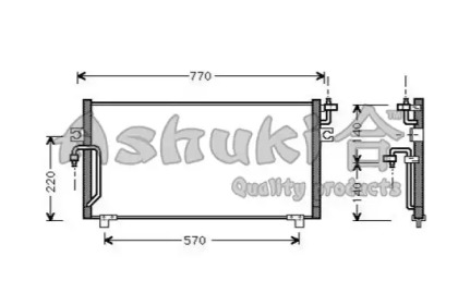 ASHUKI N657-31