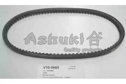 ASHUKI V10-0665