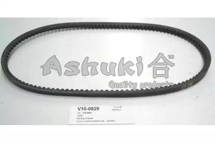 ASHUKI V10-0829