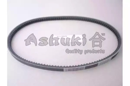 ASHUKI V13-0875