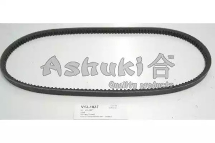 ASHUKI V13-1037