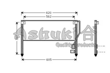 ASHUKI M559-64