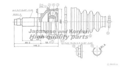 ASHUKI MA-4049