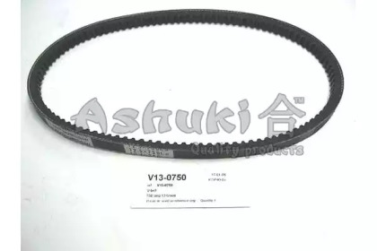 ASHUKI V13-0750