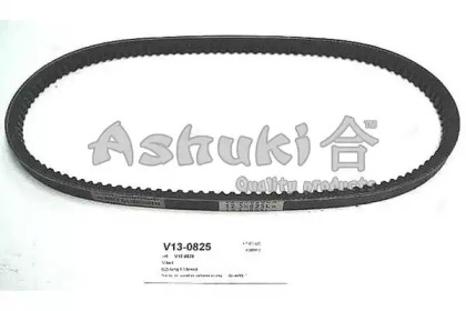 ASHUKI V13-0825