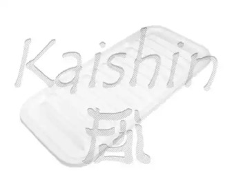 KAISHIN A196