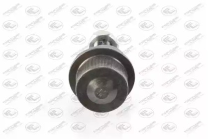 fortune line fz3826