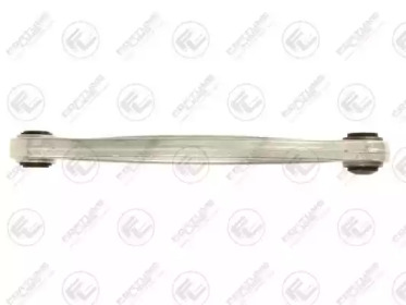 fortune line fz6733