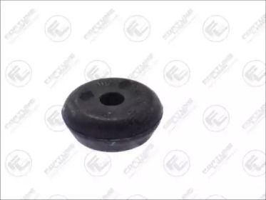 fortune line fz70781