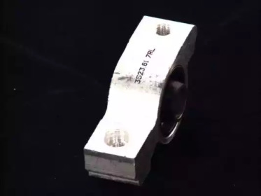 fortune line fz9464