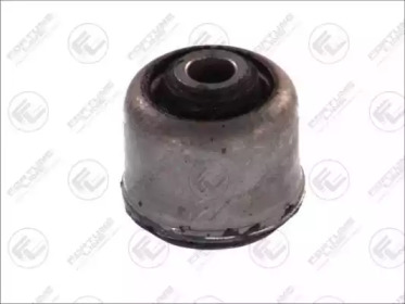fortune line fz9569