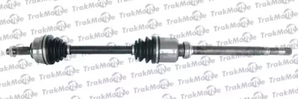 TRAKMOTIVE 30-0253