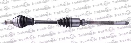 TRAKMOTIVE 30-0610