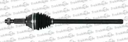 TRAKMOTIVE 36-0008