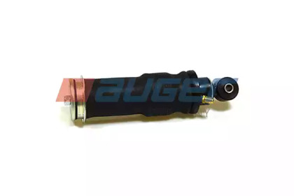 AUGER 20040