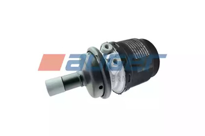 AUGER 21169