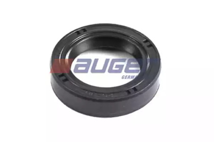 AUGER 69383