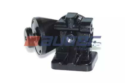AUGER 71613