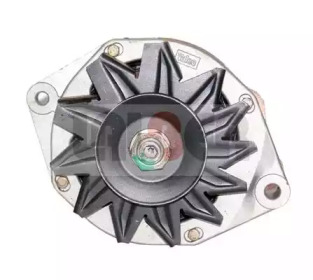 lauber 110536